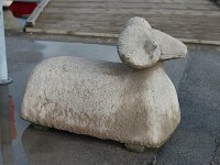 Das Gotland-Schaf.